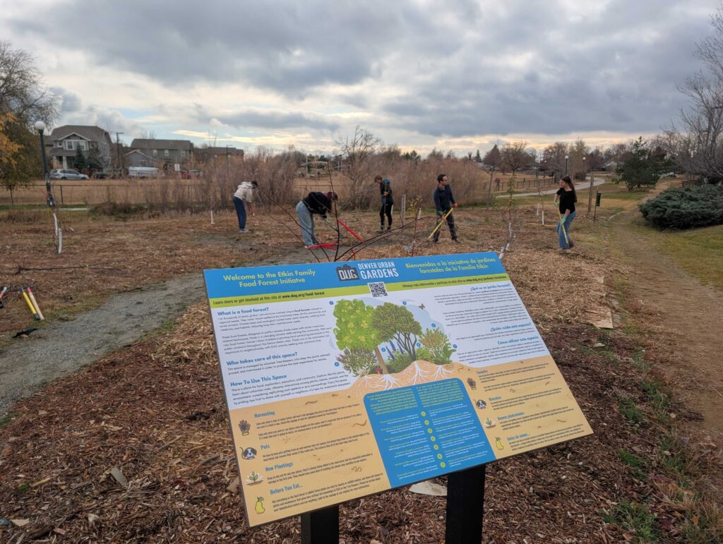 PXL_20251121_202259876 - Denver Urban Gardens