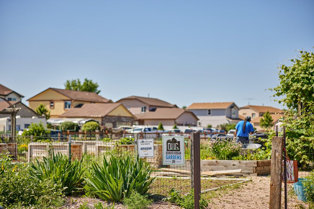 _Q4A2670 - Denver Urban Gardens