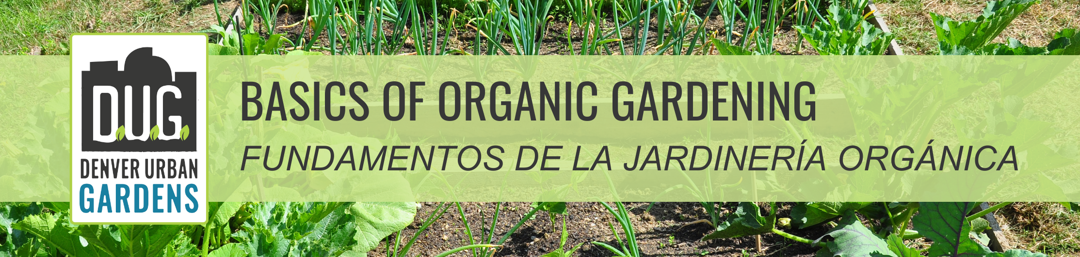 Basics of Organic Gardening