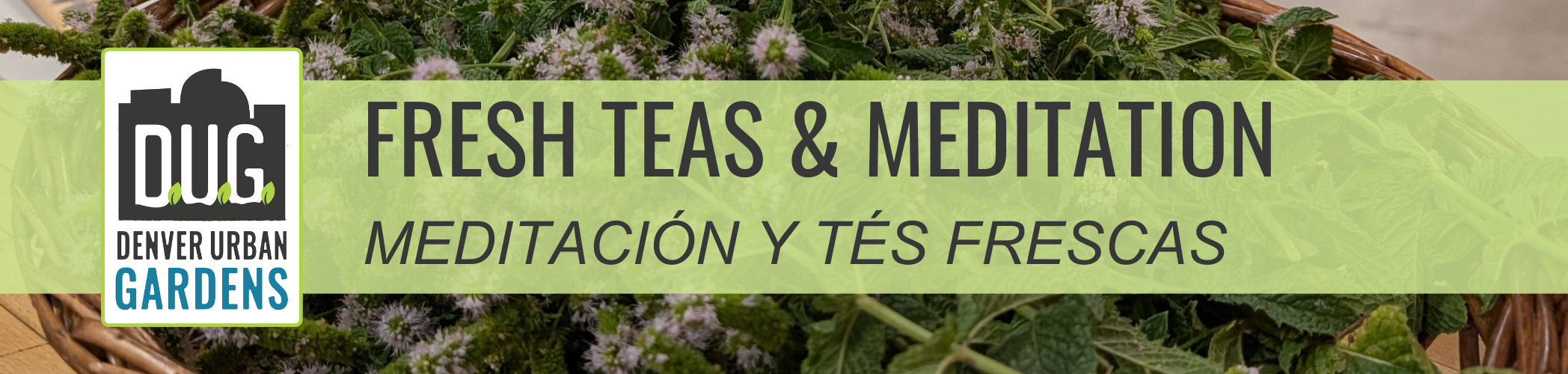 Fresh Teas and Meditation