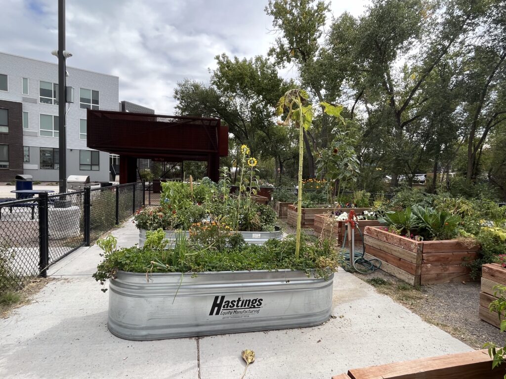 IMG_0636 - Denver Urban Gardens