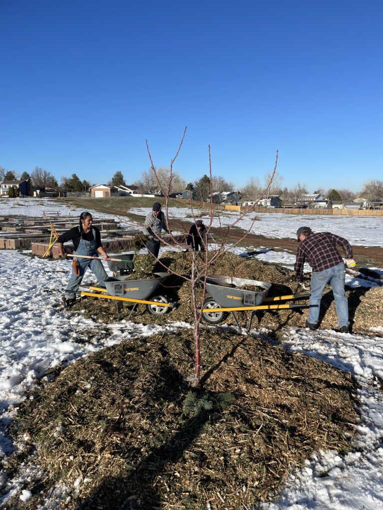 IMG_7687 - Denver Urban Gardens