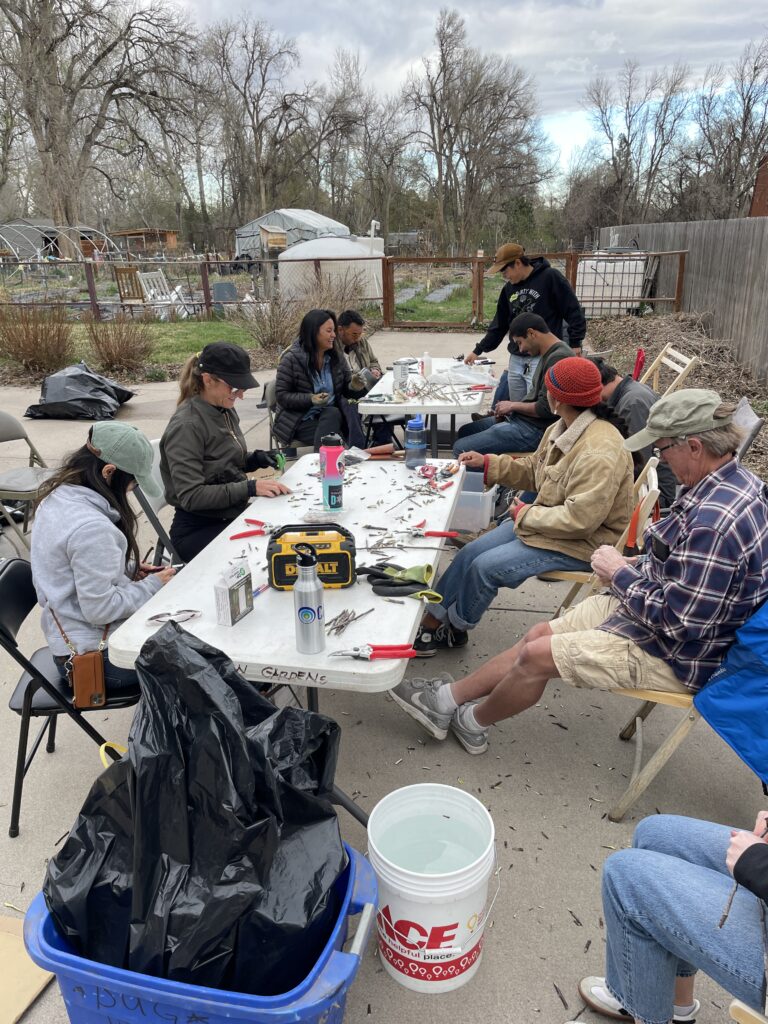 IMG_8036 - Denver Urban Gardens