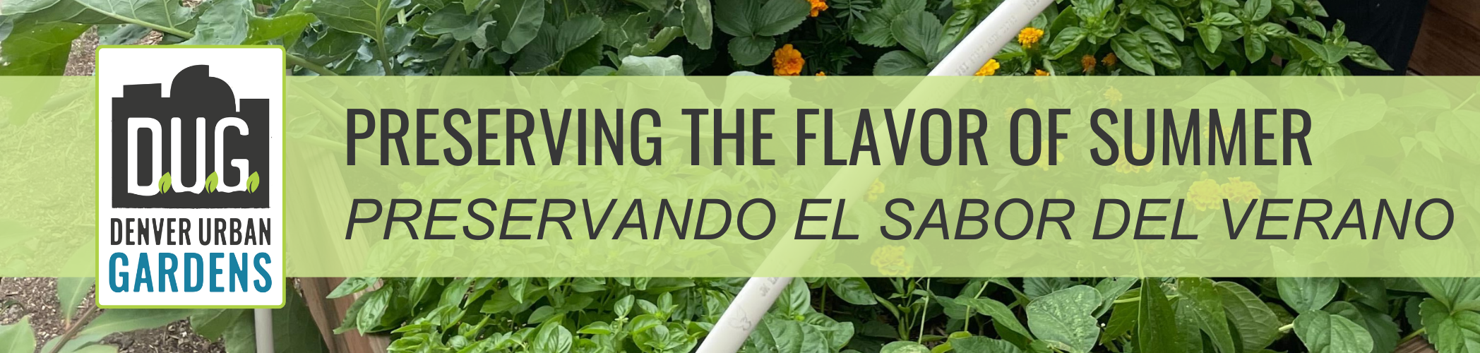 Preserving the Flavor of Summer