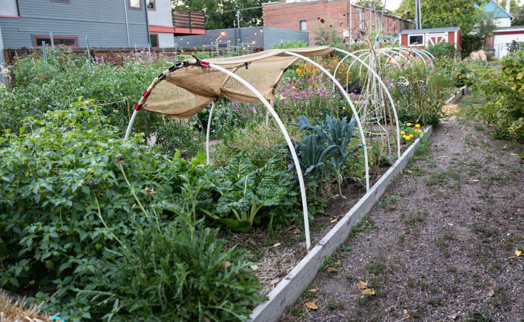 Row cover on garden plot - Denver Urban Gardens