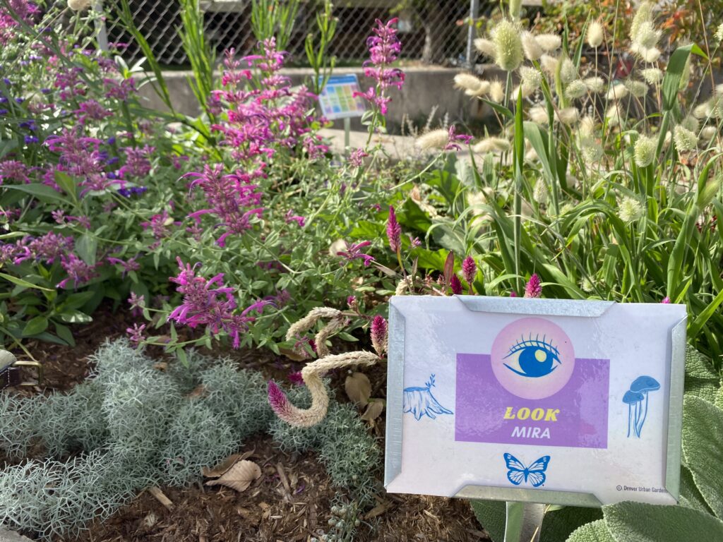 Sensory Sign at Ellis South CG - Denver Urban Gardens