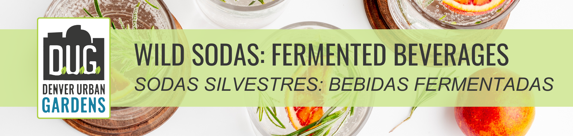 Wild Sodas: Fermented Beverages
