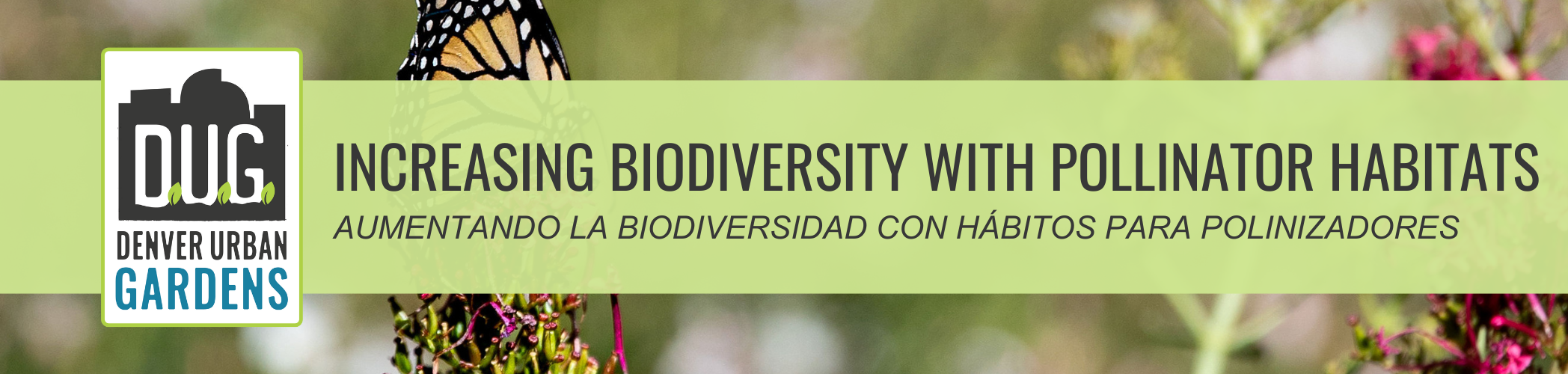 Increasing Biodiversity with Pollinator Habitats