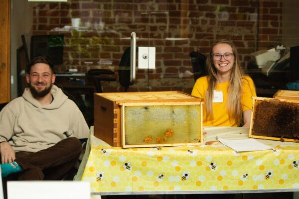 Person tabling with bee hives