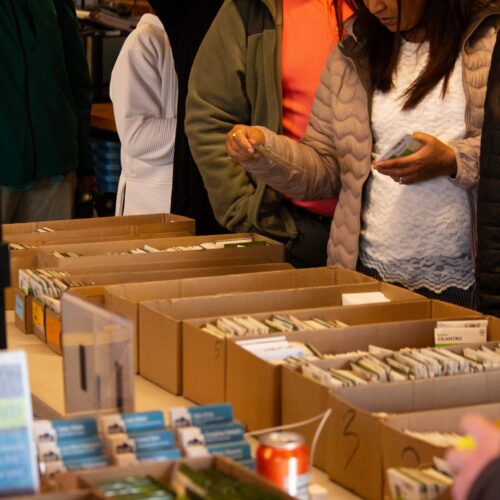 community members picking seeds from bins