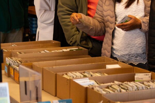 community members picking seeds from bins