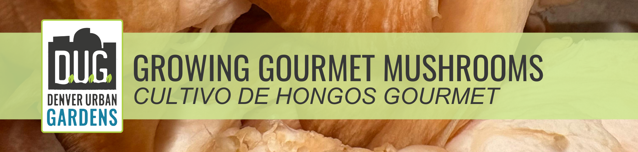 Growing Gourmet Mushrooms