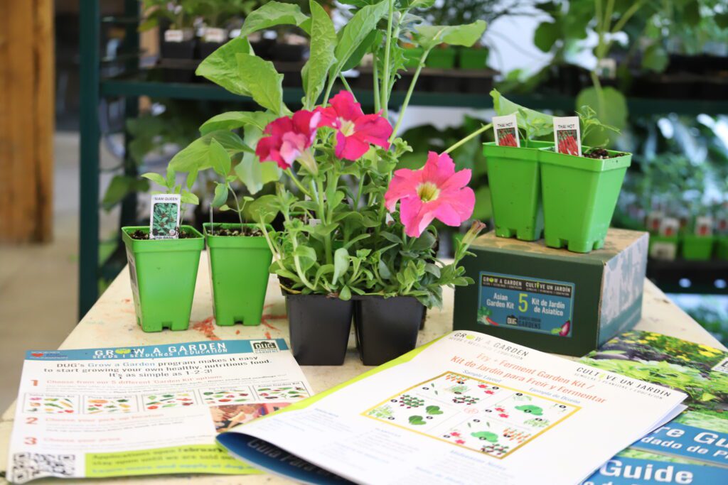garden kit seedlings and organic growing guide opened