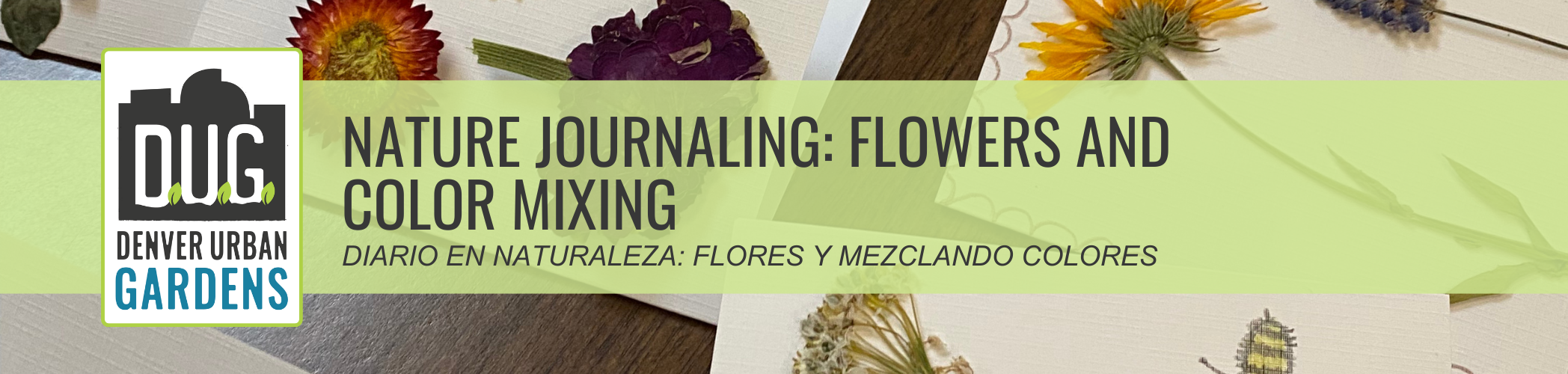 Nature Journaling: Flowers and Color Mixing