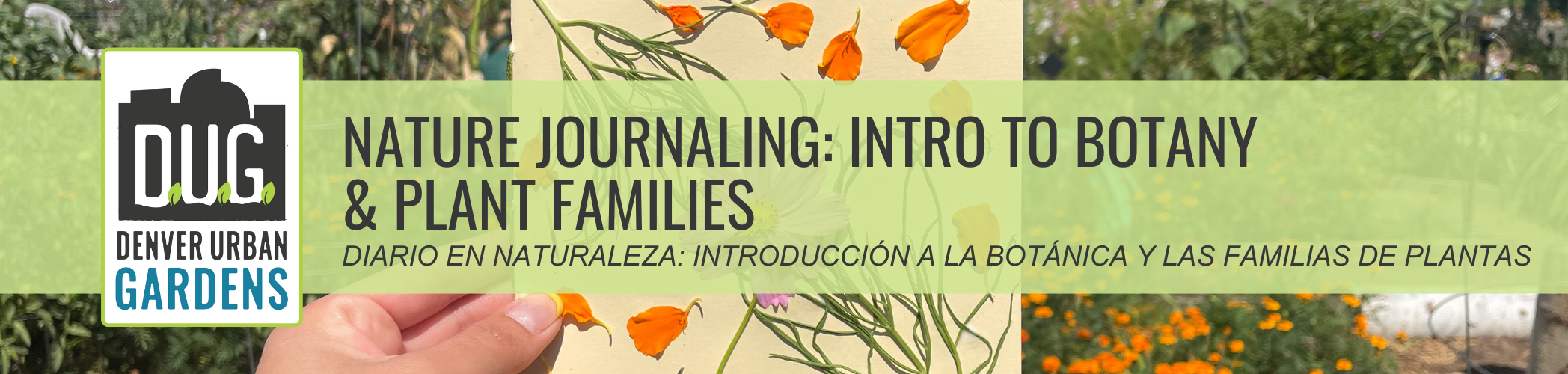 Nature Journaling: Intro to Botany & Plant Families