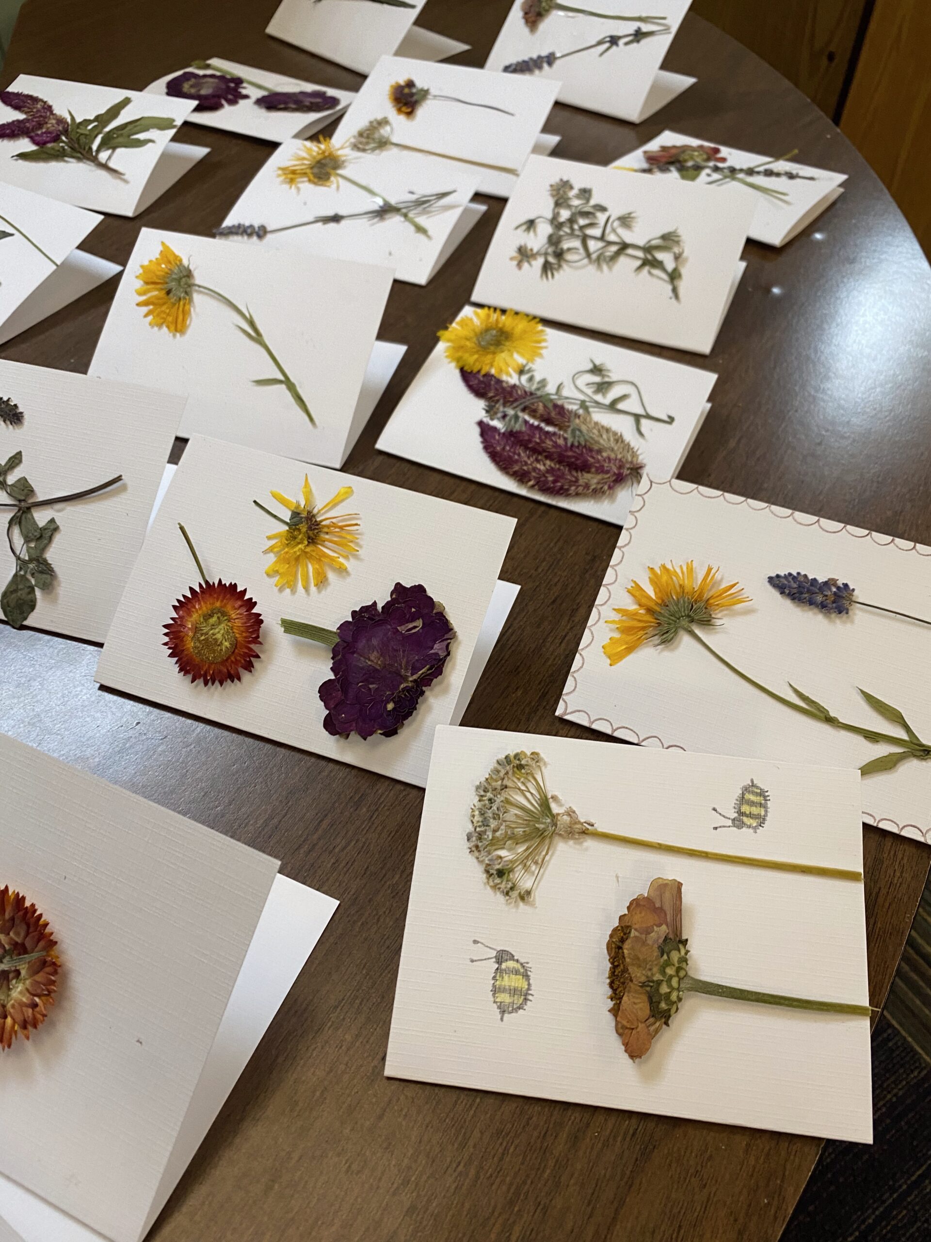 Cultivating Job Skills Through Gardening