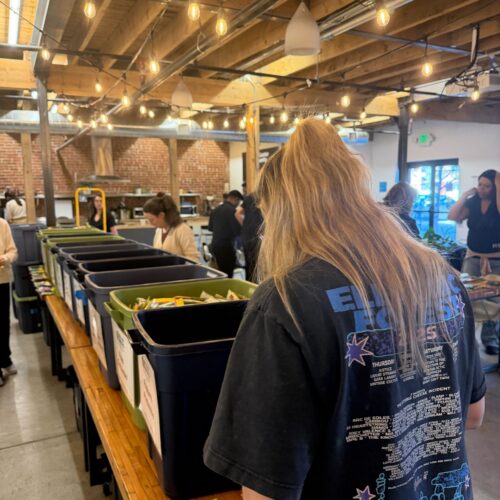 community members picking seeds from bins