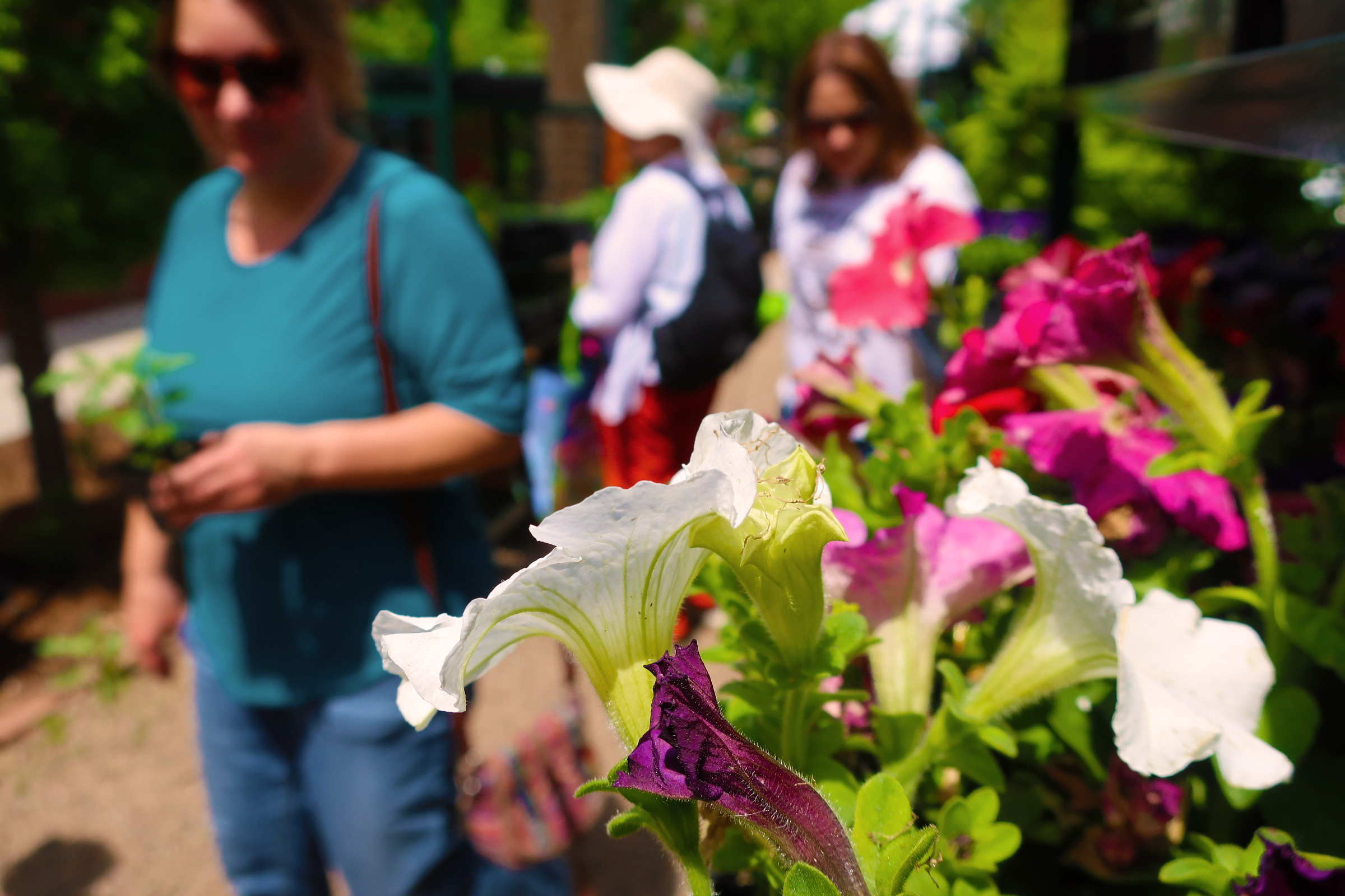 people behind flower baskets