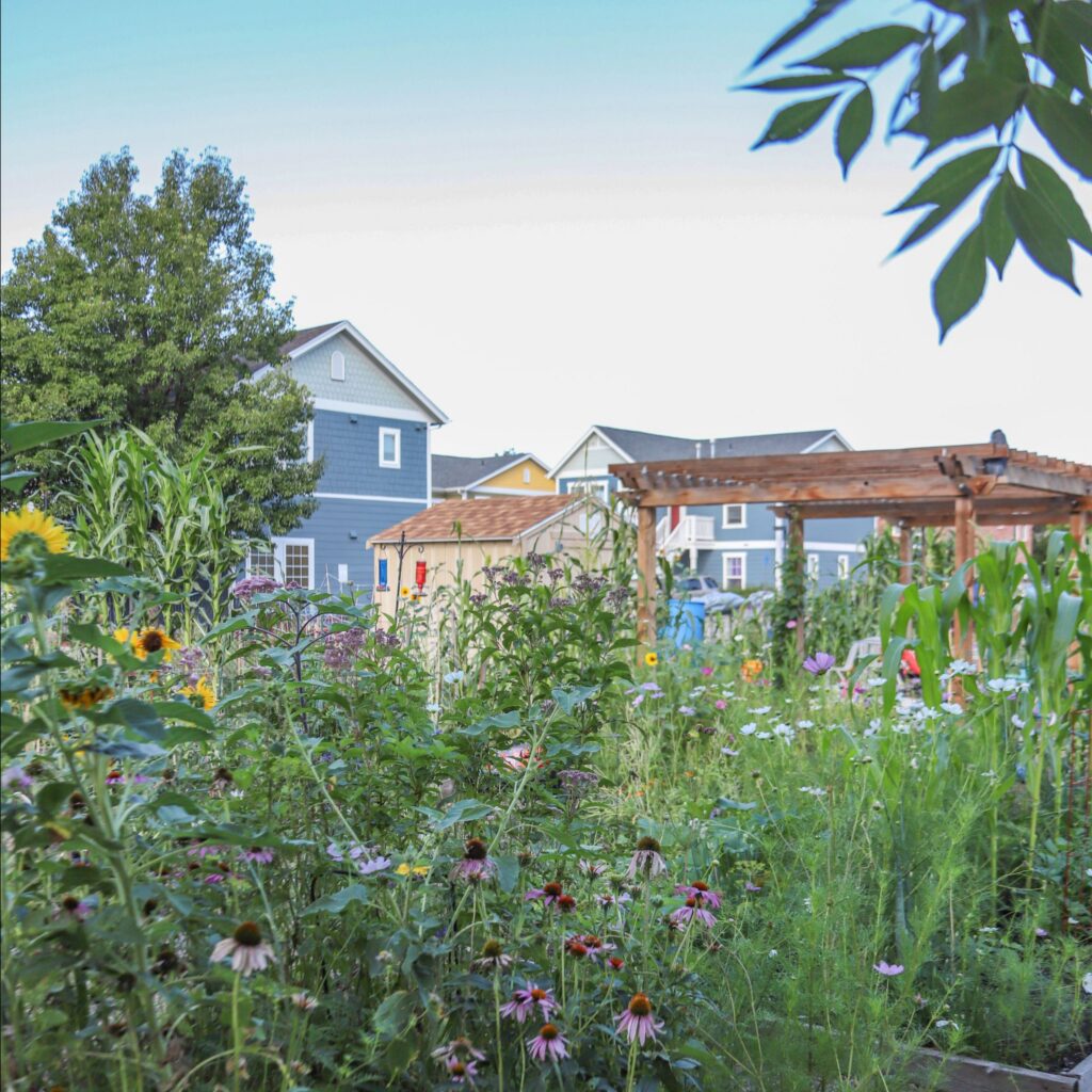 horsebarn garden and buildings in background