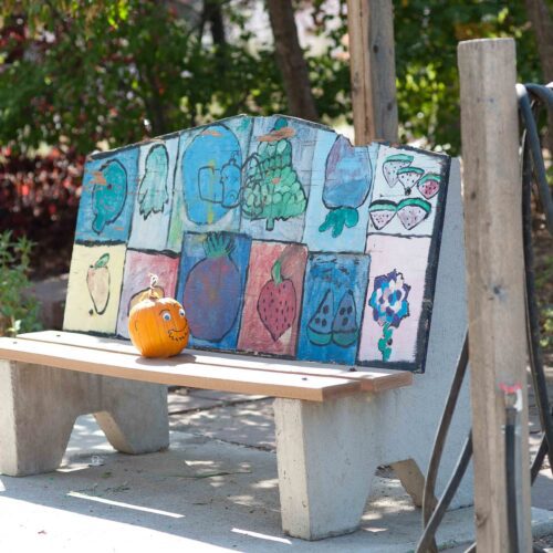 colorful bench at DUG garden