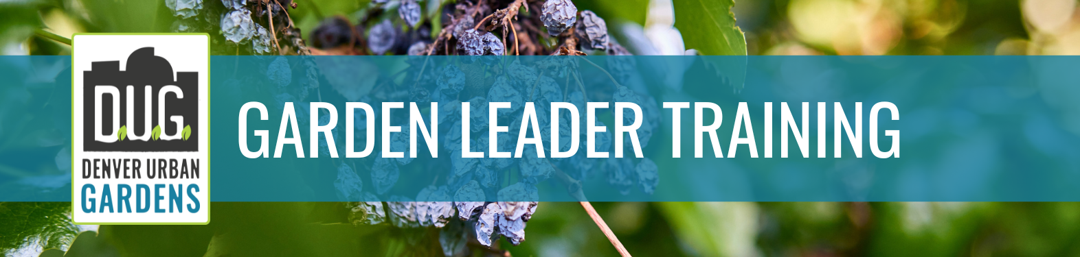 Garden Leader Training: Adaptive Gardening through a Therapeutic Garden Lens