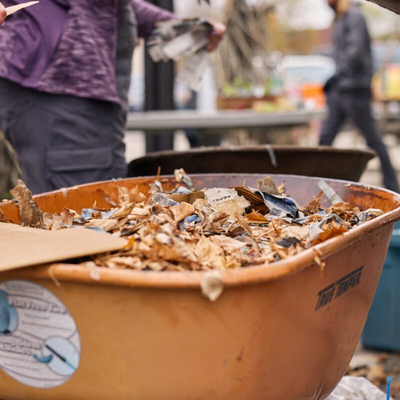 leaves in a wheelbarrow