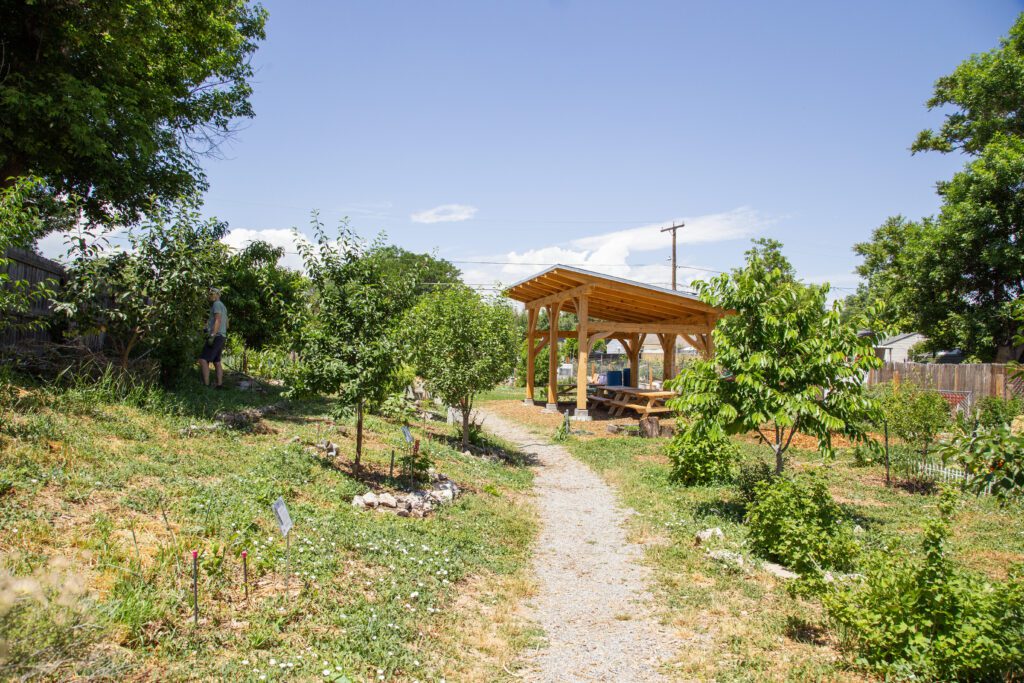 Moody_ElevatedDB_CommGarden__0006 - Denver Urban Gardens pathway to pavilion in barnum food forest