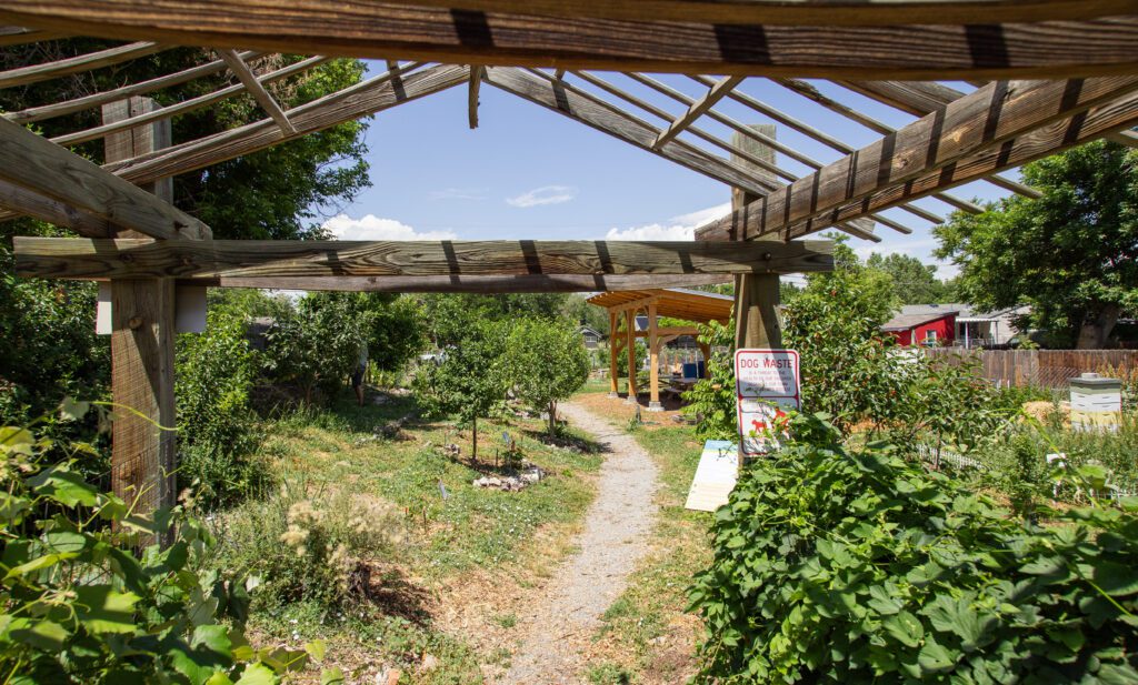 Moody_ElevatedDB_CommGarden__0008 - Denver Urban Gardens under the pavilion at barnum food forest