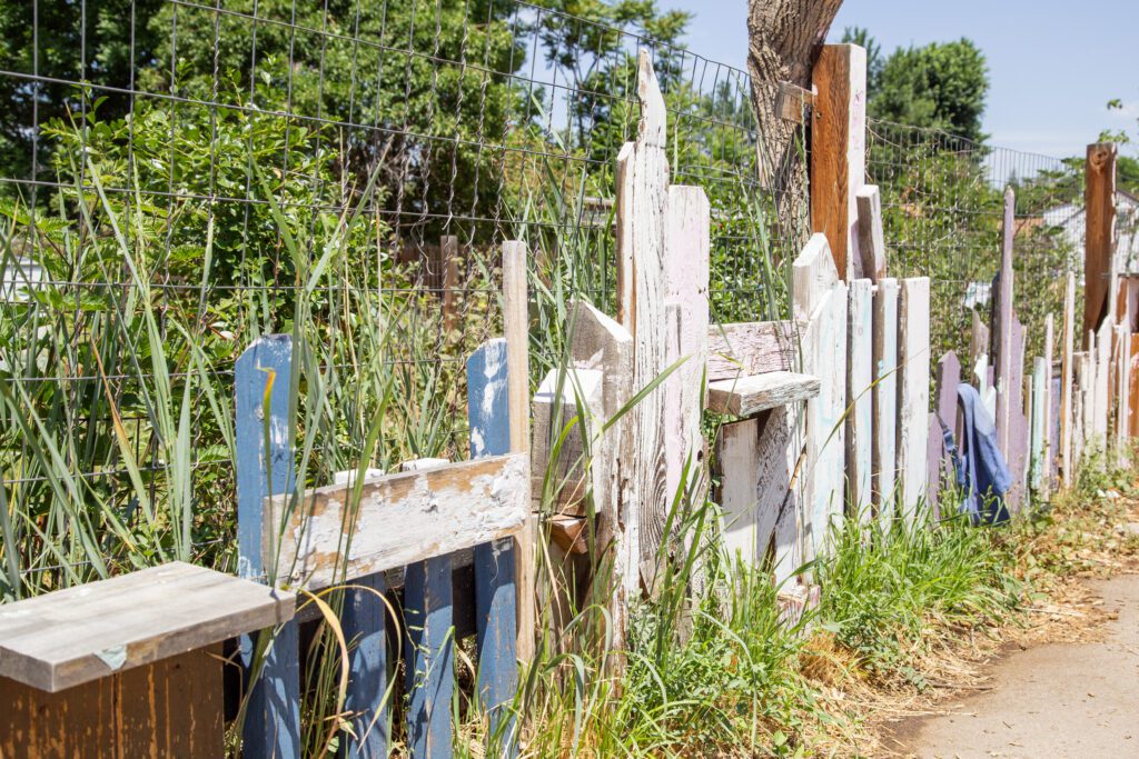 Moody_ElevatedDB_CommGarden__0009 - Denver Urban Gardens fencing on side of barnum food forest