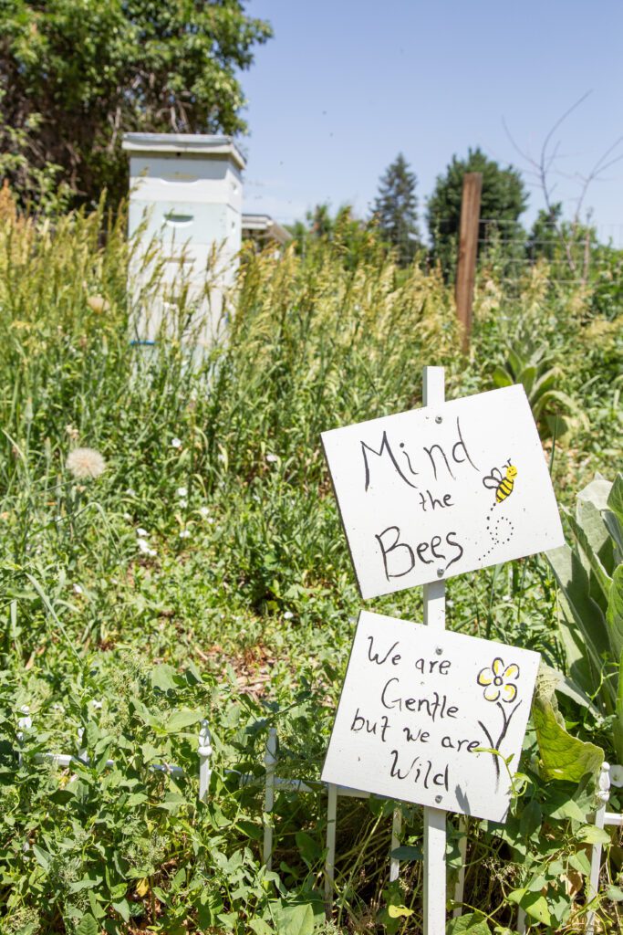 Moody_ElevatedDB_CommGarden__0016 - Denver Urban Gardens sign for bees at barnum food forest