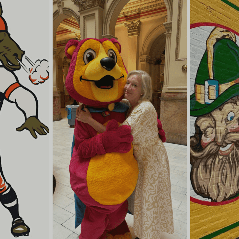 inspiration mascot ideas