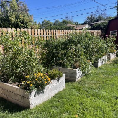 Sophie B.'s garden beds