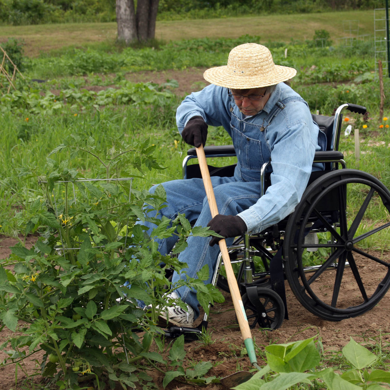 gardening in wheelchair using long handled tool