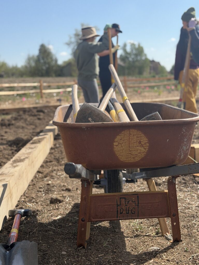 wheelbarrow with tools tito's 2026