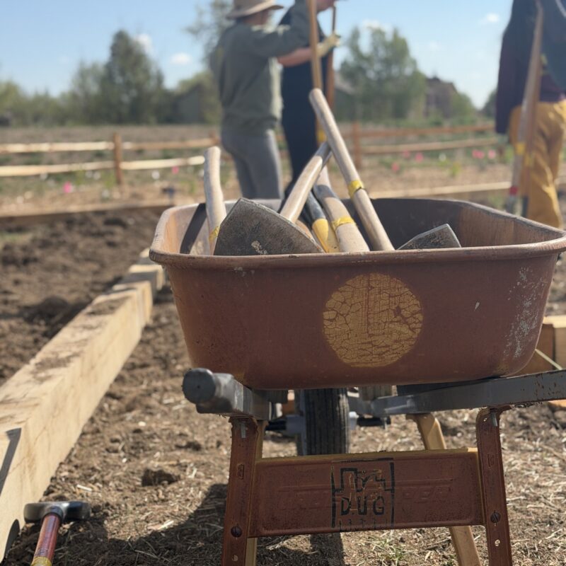 wheelbarrow with tools tito's 2026