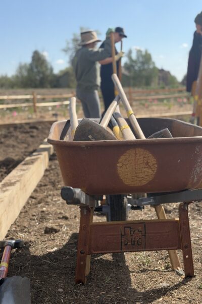 wheelbarrow with tools tito's 2026