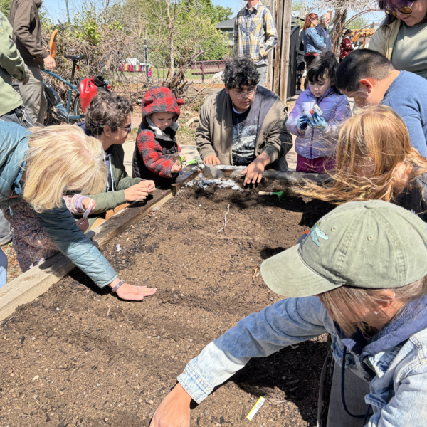 Group of people around a raised garden bed digging soil during an outdoor gardening activity.