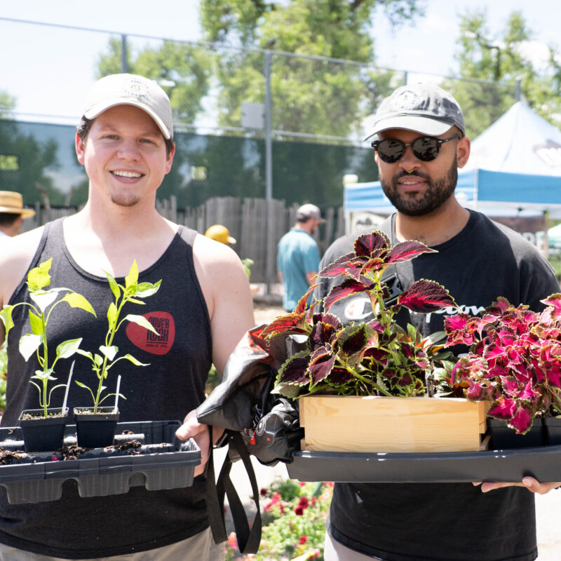 Two people at an outdoor market display plants, holding trays of young seedlings and a wooden box of colorful foliage plants.