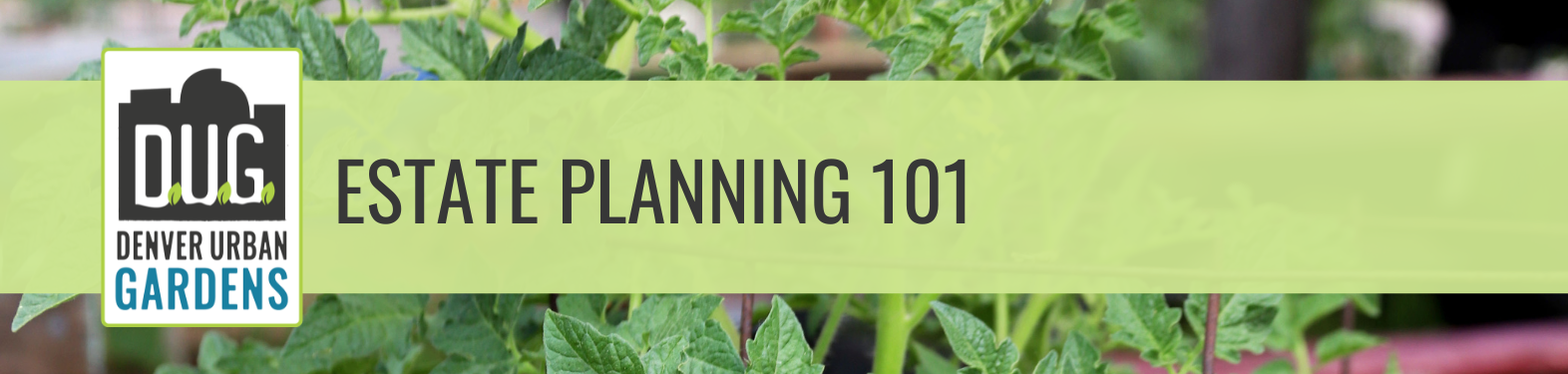 Estate Planning 101 (Virtual Session)
