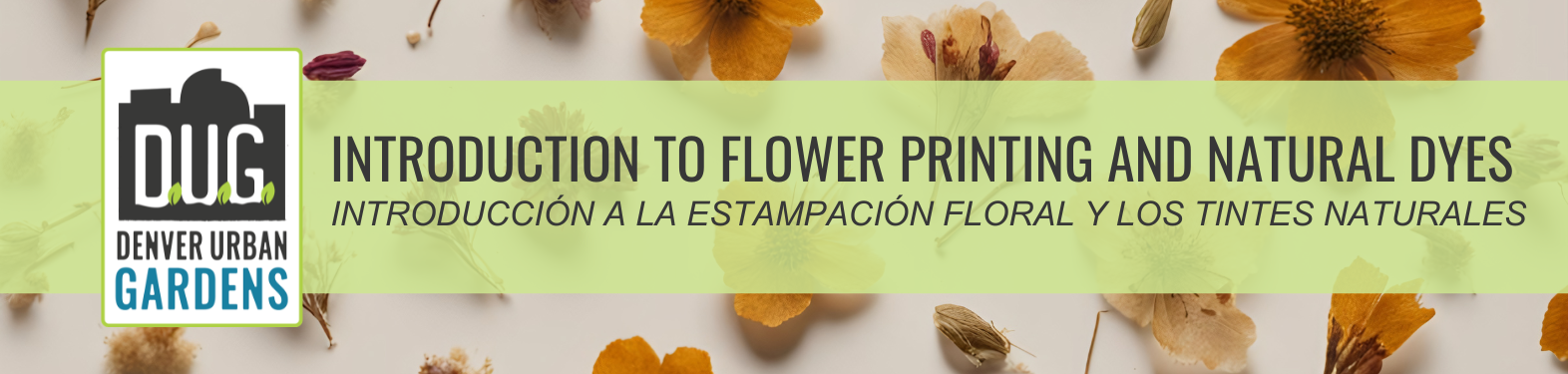 Introduction to Flower Printing and Natural Dyes