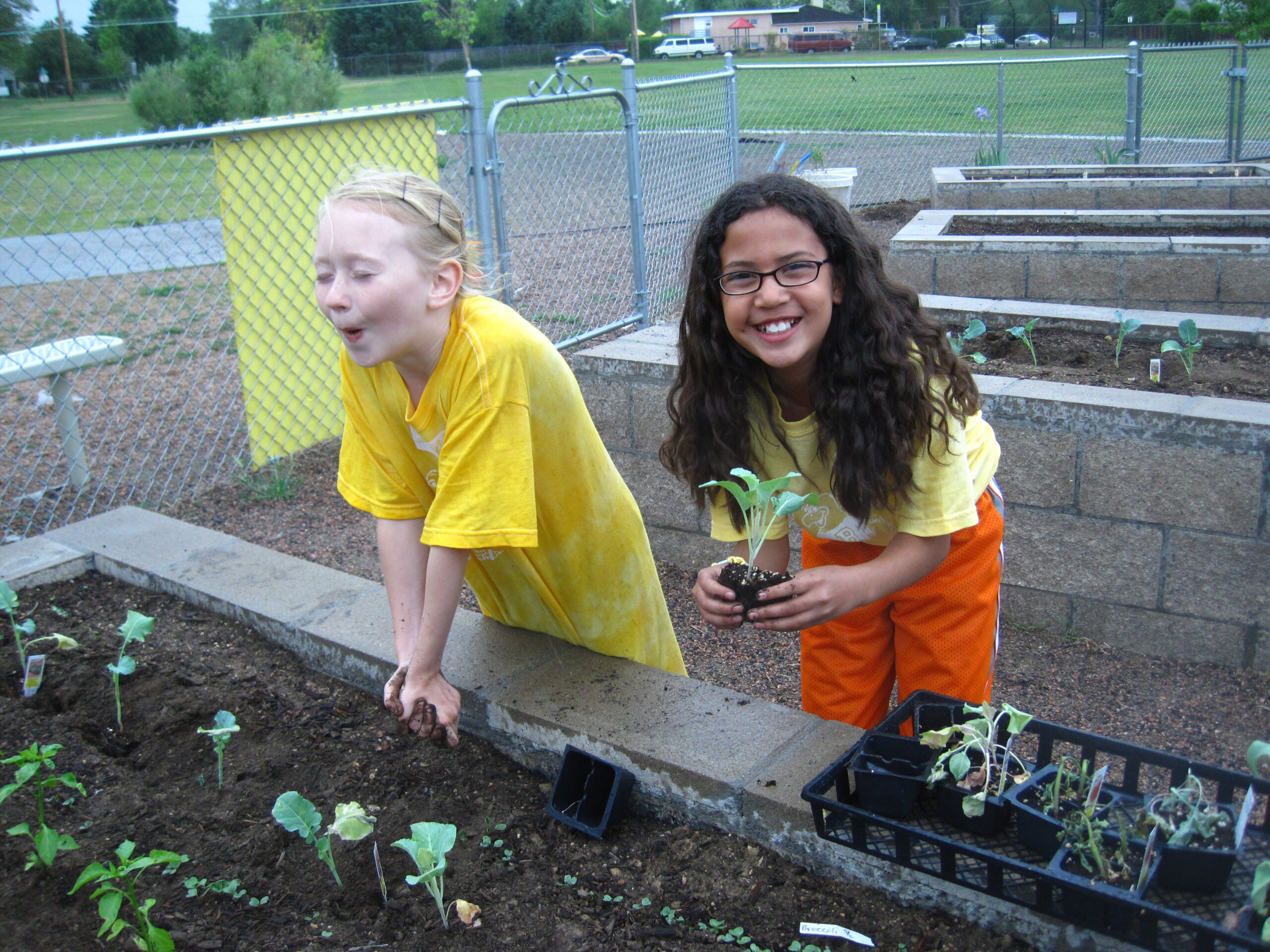 Two children in yellow shirts plant young seedlings in a raised garden bed, smiling as they work outdoors behind a chain-link fence.