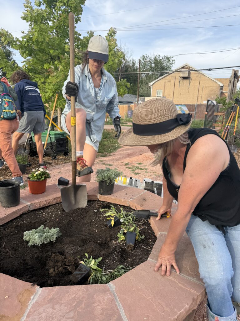 People working in a raised brick garden bed, planting small shrubs and flowers with tools nearby under a sunny sky.