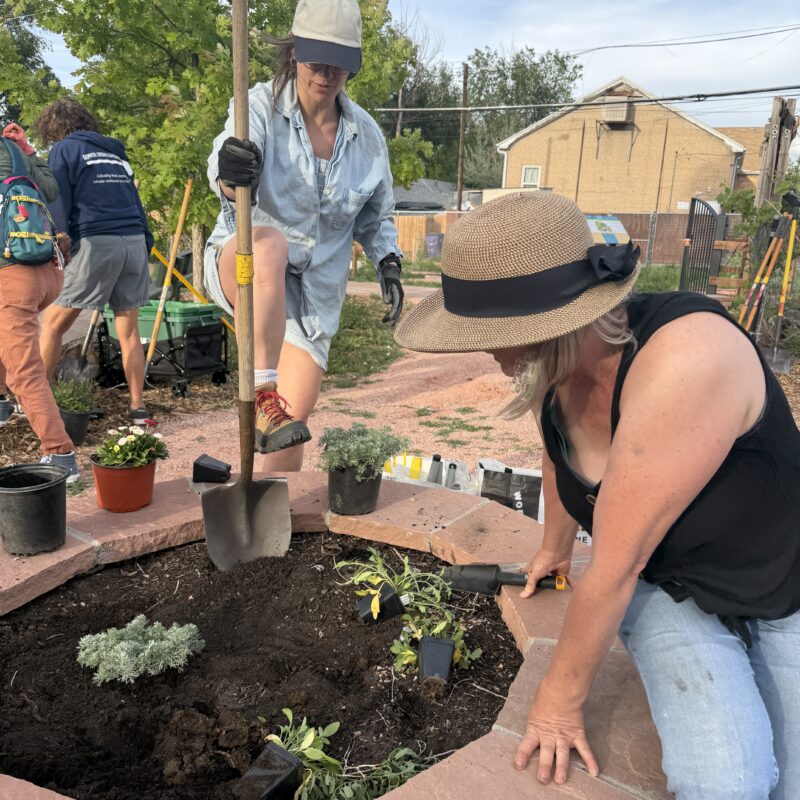 People working in a raised brick garden bed, planting small shrubs and flowers with tools nearby under a sunny sky.