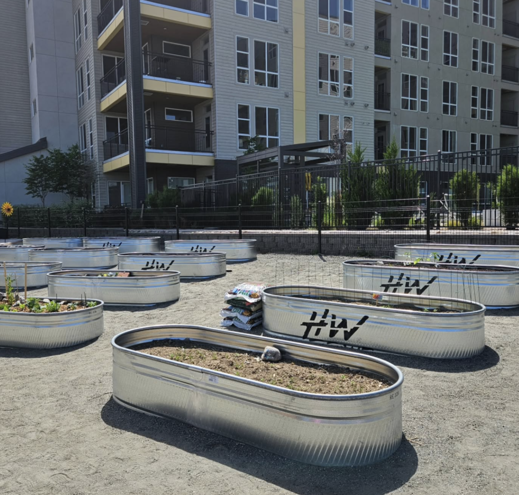 Circular metal planter beds filled with soil and small plants arranged in a courtyard near a modern apartment complex, with a black fence and gravel ground behind them.