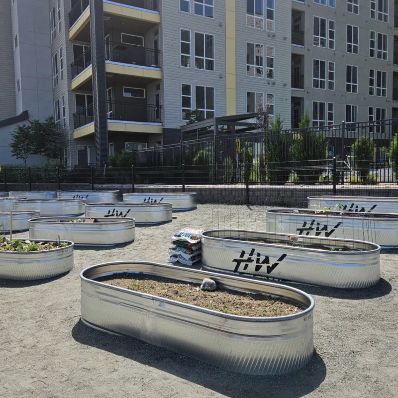 Circular metal planter beds filled with soil and small plants arranged in a courtyard near a modern apartment complex, with a black fence and gravel ground behind them.