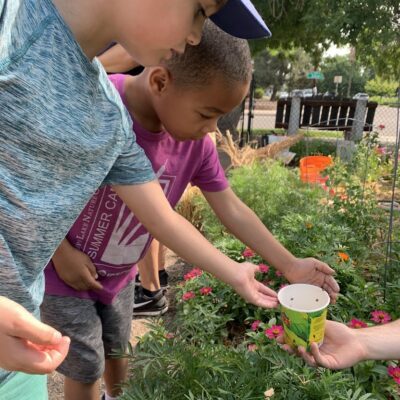 Two children lean over flowering garden beds as an adult hands them a cup to water the plants in a community garden.