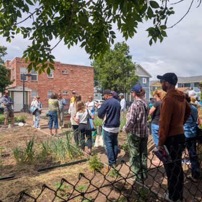 Group of people gathered in a community garden with raised beds near brick buildings behind them