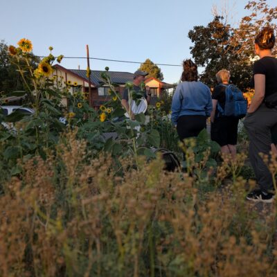 Group of adults standing in a garden yard with sunflowers in the foreground and houses in the background under a clear blue sky.